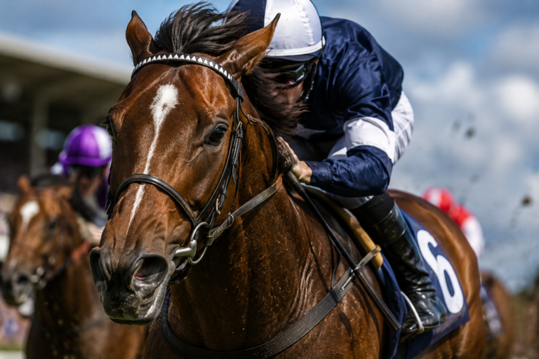 Horse Racing